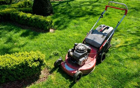 Lawn Mower Carburetor Leaking Gas (What You。